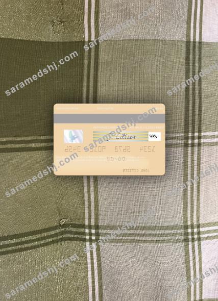 Maldives Bank of Maldives visa debit card photolook back
